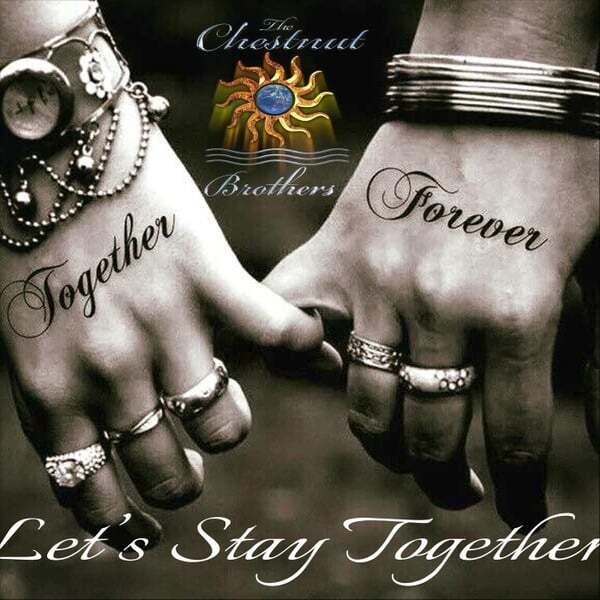 Cover art for Let's Stay Together